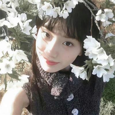 为黛茜小姐开车